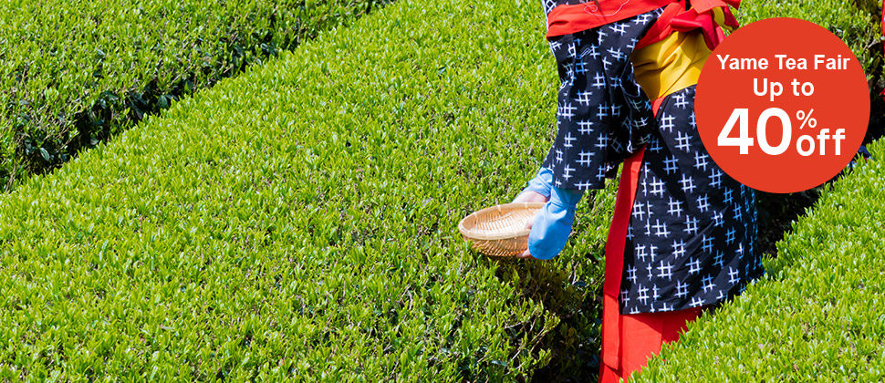 Yame Green Tea Rich Tea Offerings