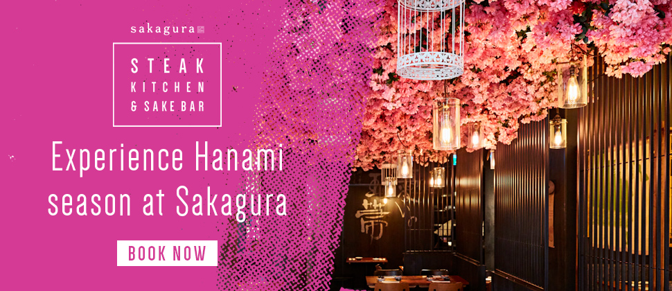 Sakura Hanami Banner (Image has all text)